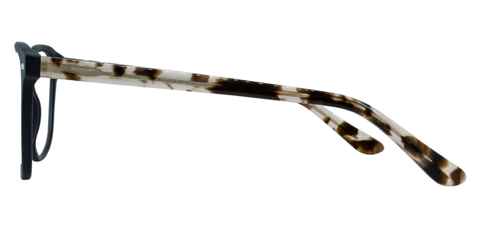 Lavin Eyeglasses