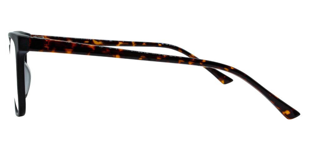 Pimlico Eyeglasses