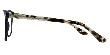 Lavin Eyeglasses