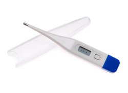 McKesson Digital Oral Thermometer, 12 ct